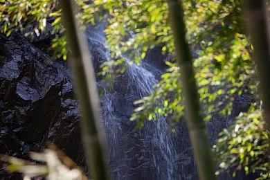《玻璃公主与镜之从者》体验版上线  1月27日发售