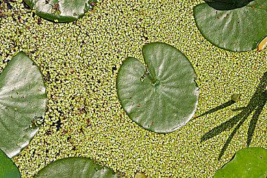 2D俯视角快节奏动作游戏《风之轨迹》现已推出试玩Demo 25年3月发布正式版